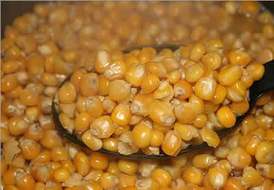 Nice :) - prepporumb.jpg